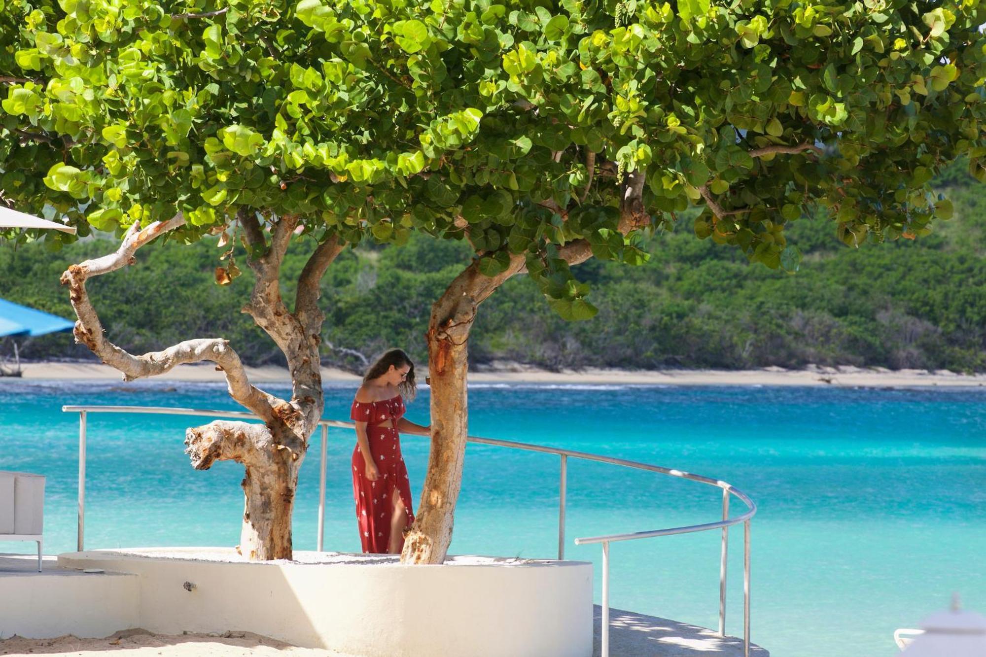 The Buccaneer Beach & Golf Resort Christiansted Exteriér fotografie