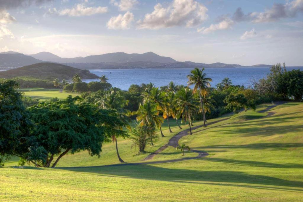 The Buccaneer Beach & Golf Resort Christiansted Pokoj fotografie