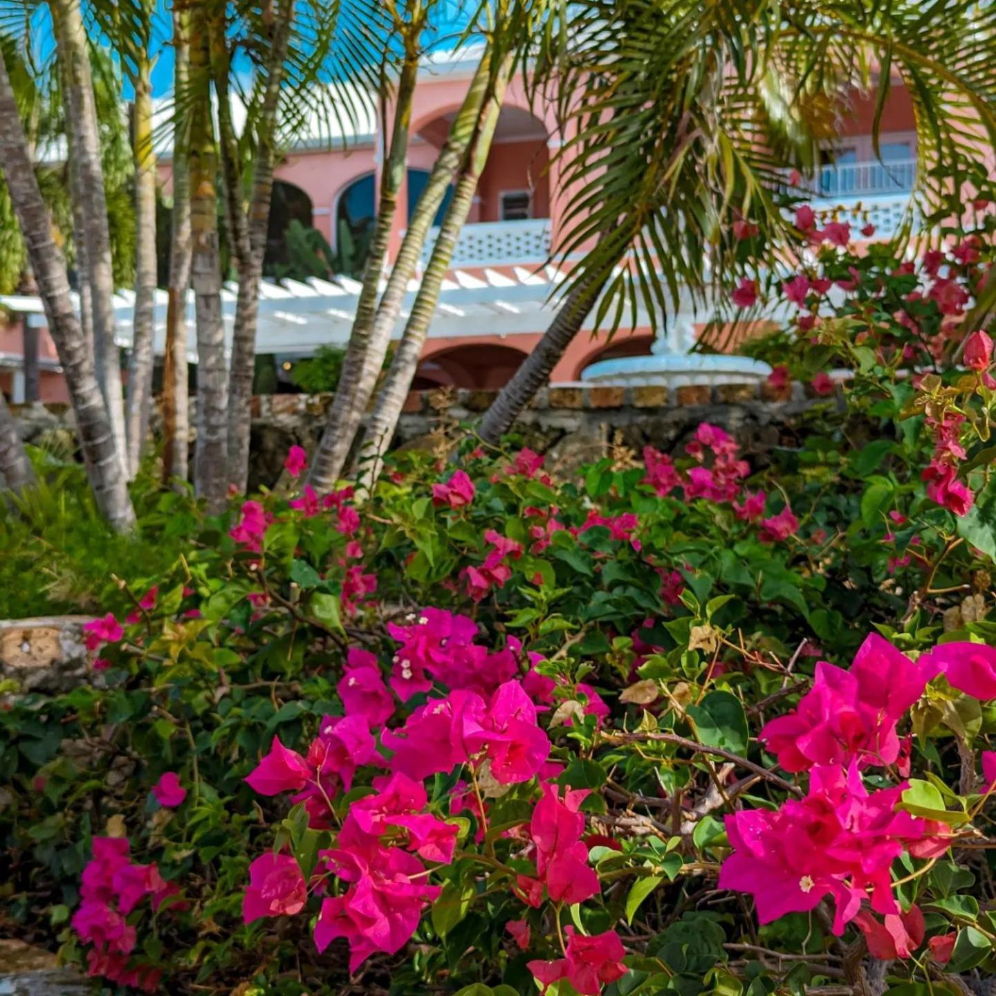The Buccaneer Beach & Golf Resort Christiansted Pokoj fotografie